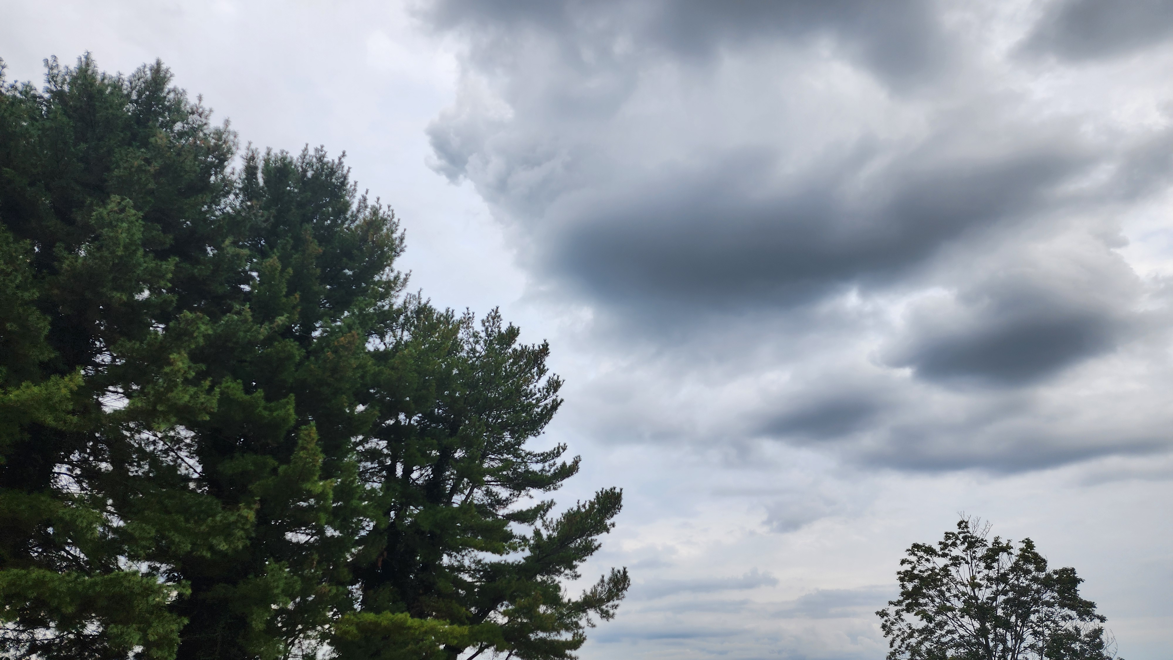 16th Sunday After Pentecost 9/28/25