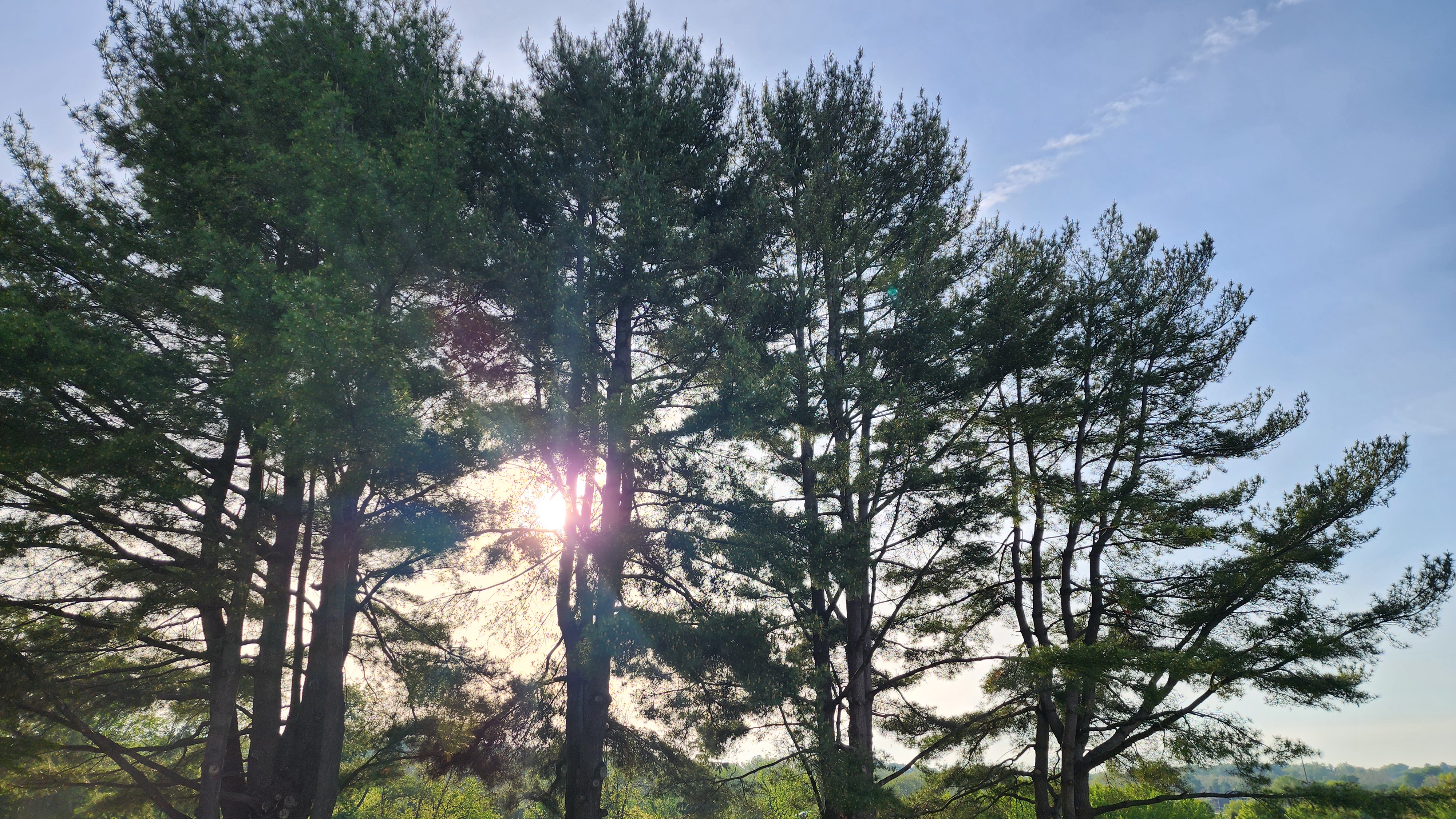 6th Sunday of Easter – 10 May 2026