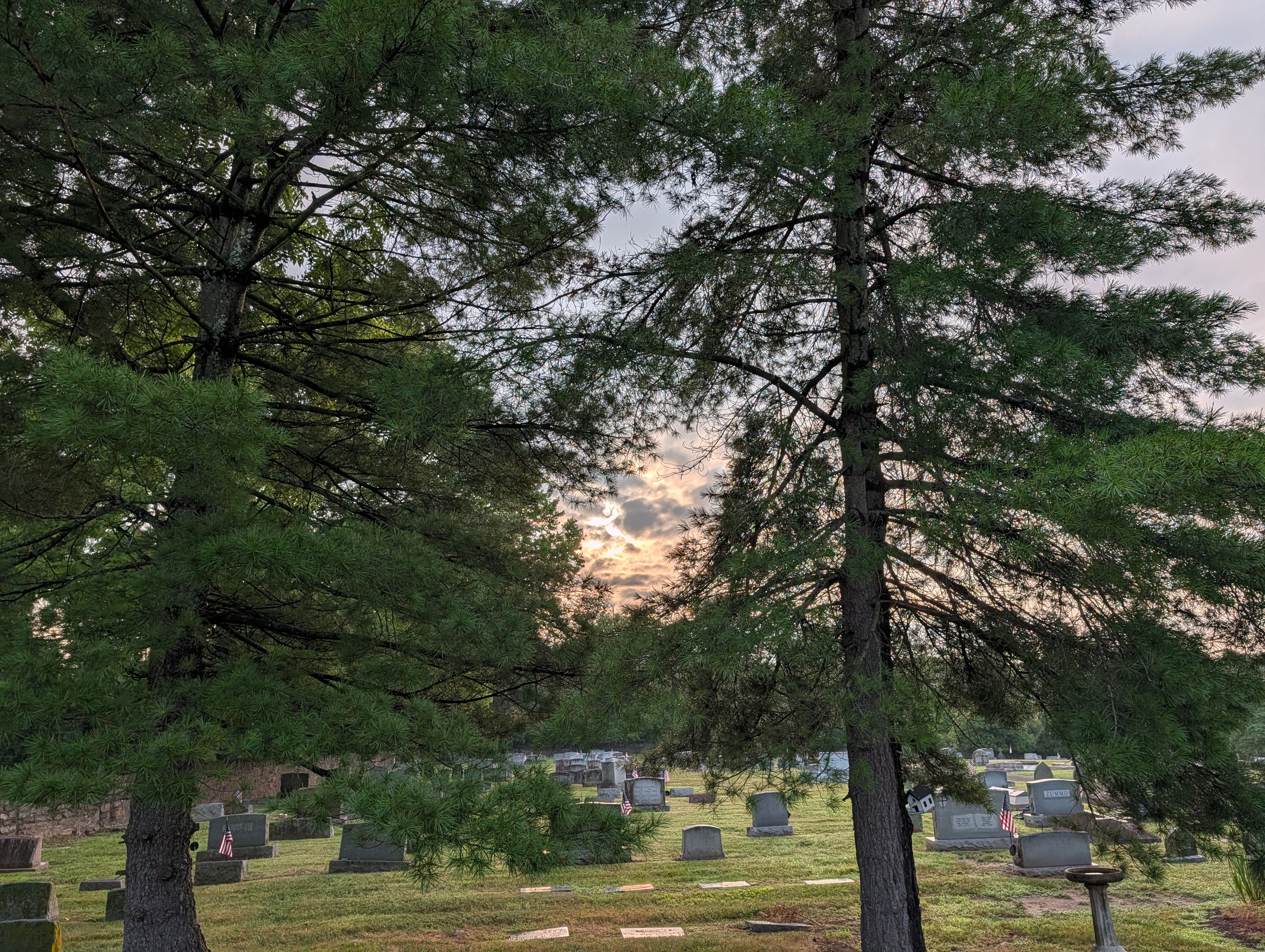9th Sunday After Pentecost, 7/26/2026